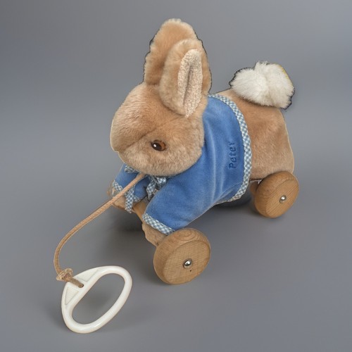 Augusta bay peter rabbit - augusta,